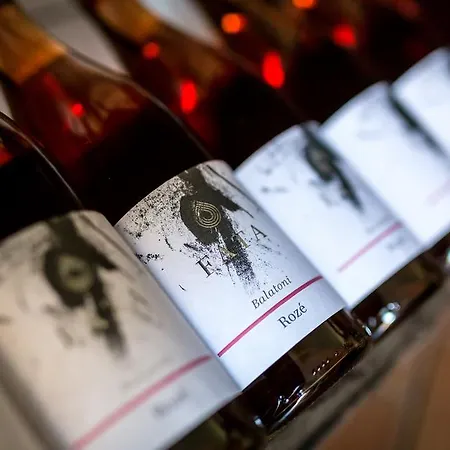 Borbaratok Panzio Гостевой дом 3*