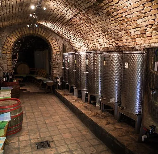 ゲストハウス Borbaratok Panzio バダチョニトマイ