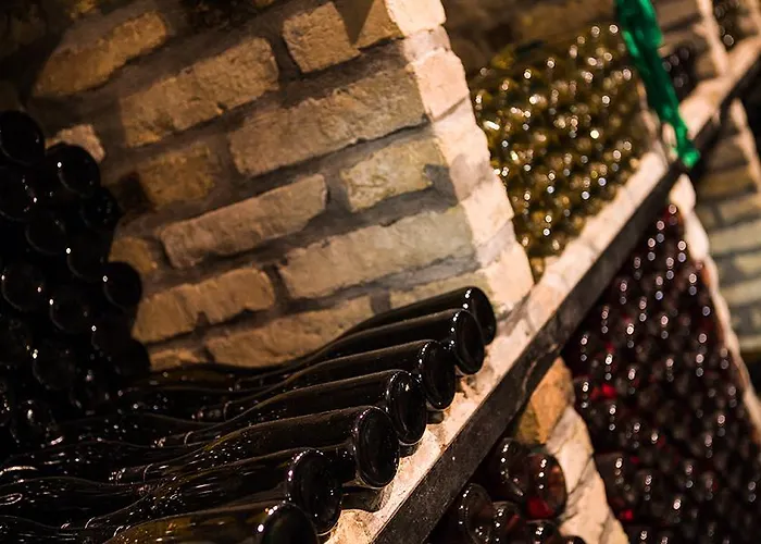 ゲストハウス Borbaratok Panzio