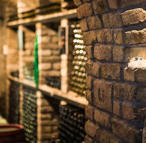 Borbaratok Panzio ゲストハウス バダチョニトマイ