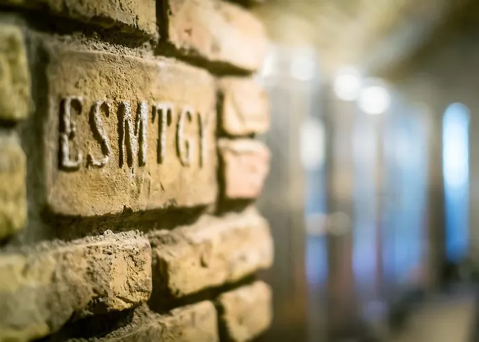 ゲストハウス Borbaratok Panzio 3*