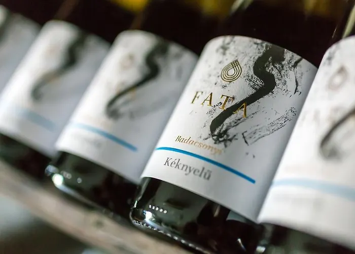 Borbaratok Panzio Πανσιόν 3*