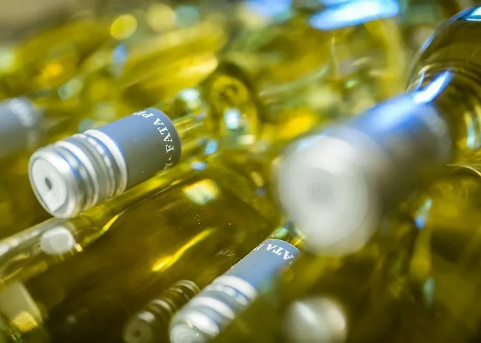 Borbaratok Panzio ゲストハウス