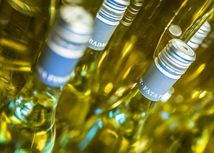 Πανσιόν Borbaratok Panzio