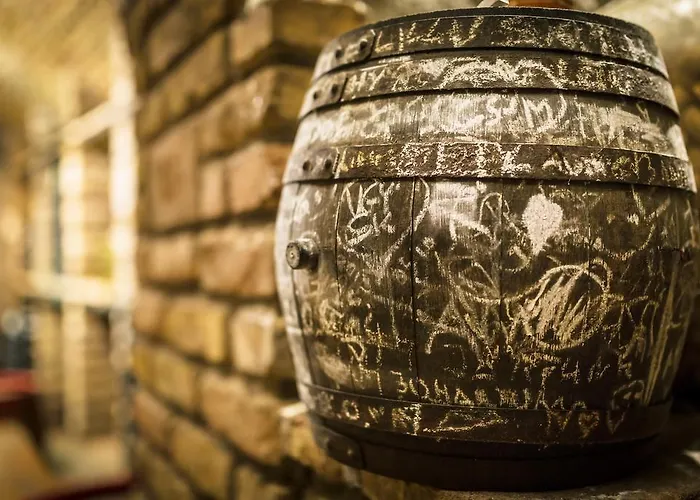 ゲストハウス Borbaratok Panzio 3*